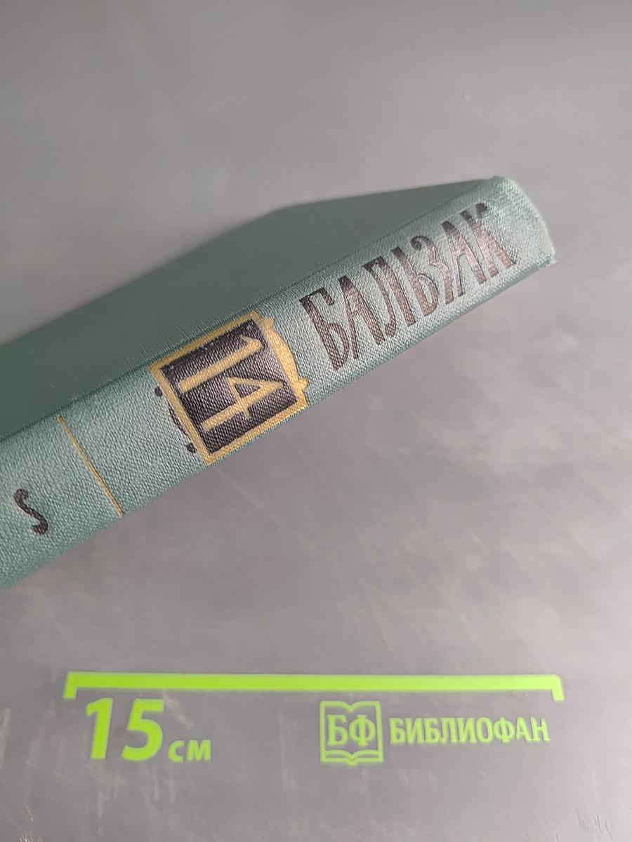 Человеческая комедия. Сцены парижской жизни. Том 1