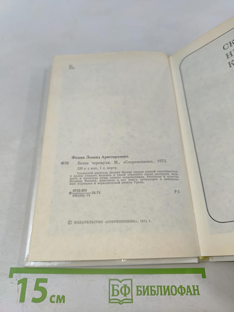 Ветка черемухи