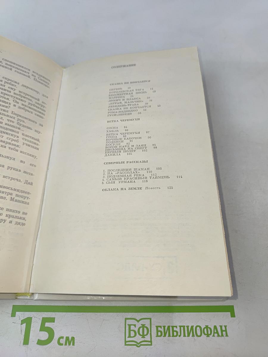 Ветка черемухи