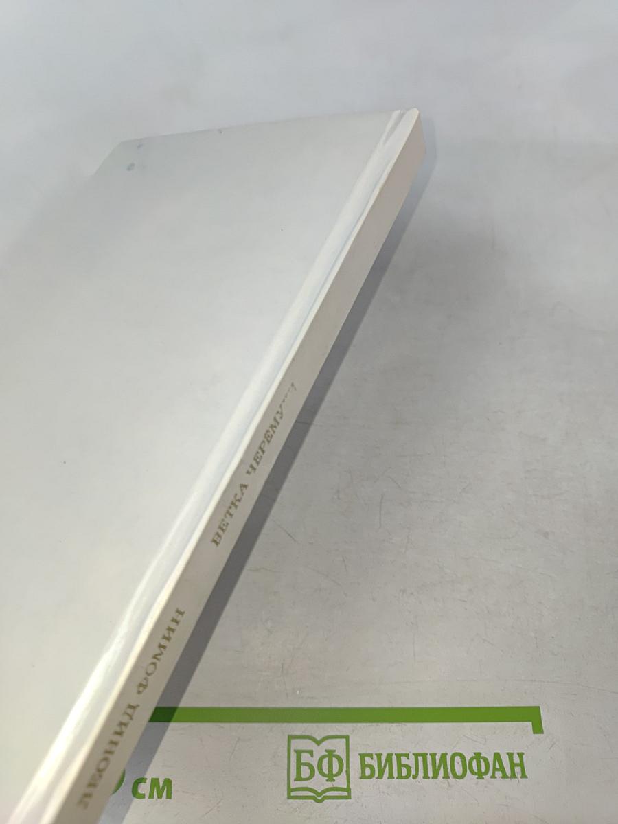 Ветка черемухи