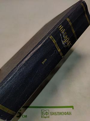 На горах. Книга первая