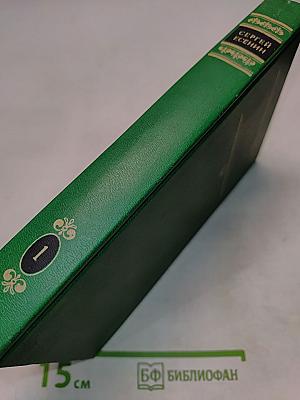 Сергей Есенин. Собрание сочинений в двух томах. Том 1. Стихотворения, поэмы