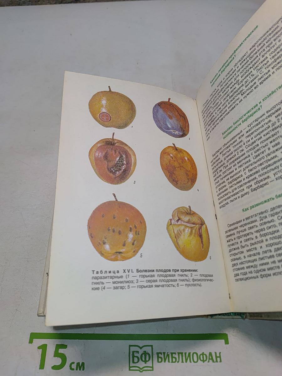 Азбука садовода