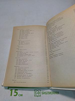 300 рецептов французской кухни