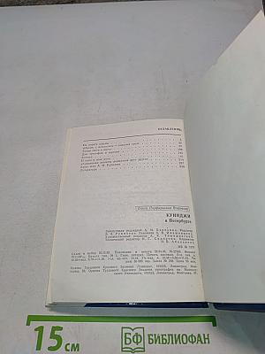 Куинджи в Петербурге