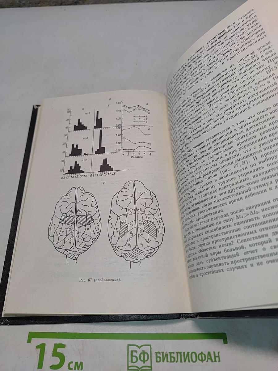 Зрение и мышление