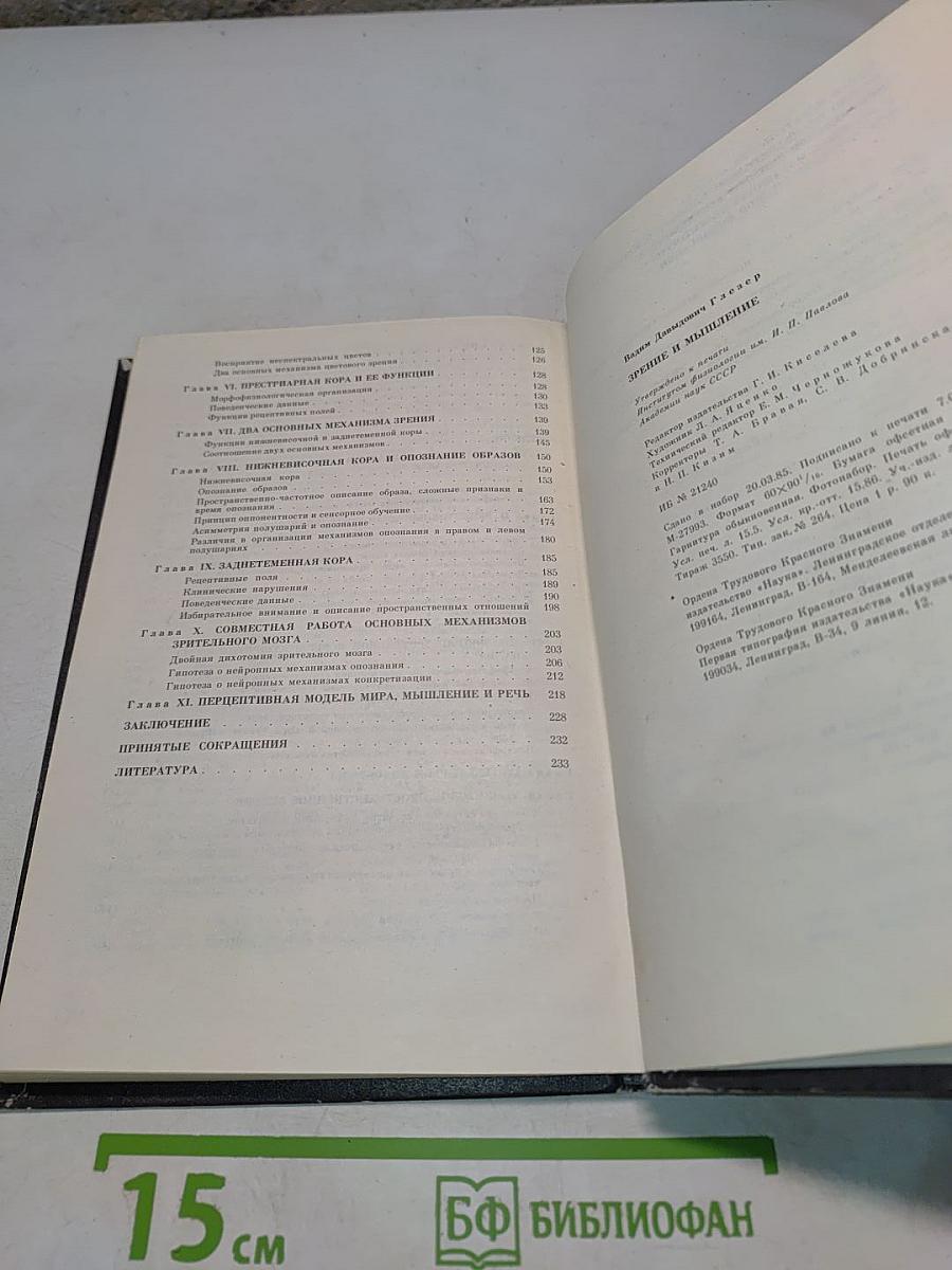 Зрение и мышление