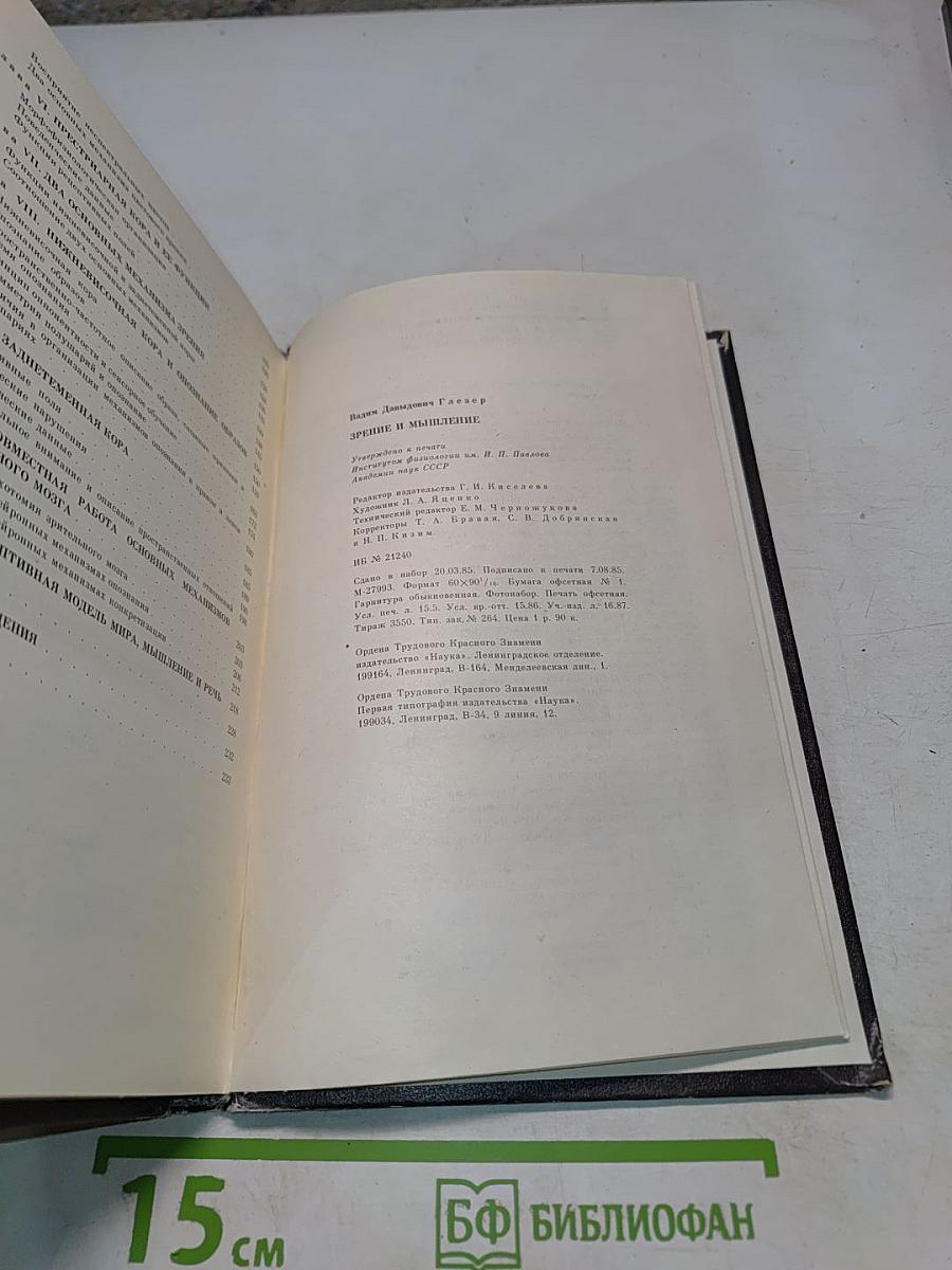 Зрение и мышление