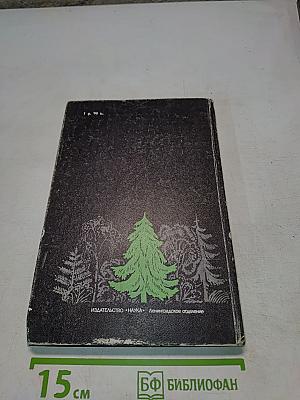 Зрение и мышление