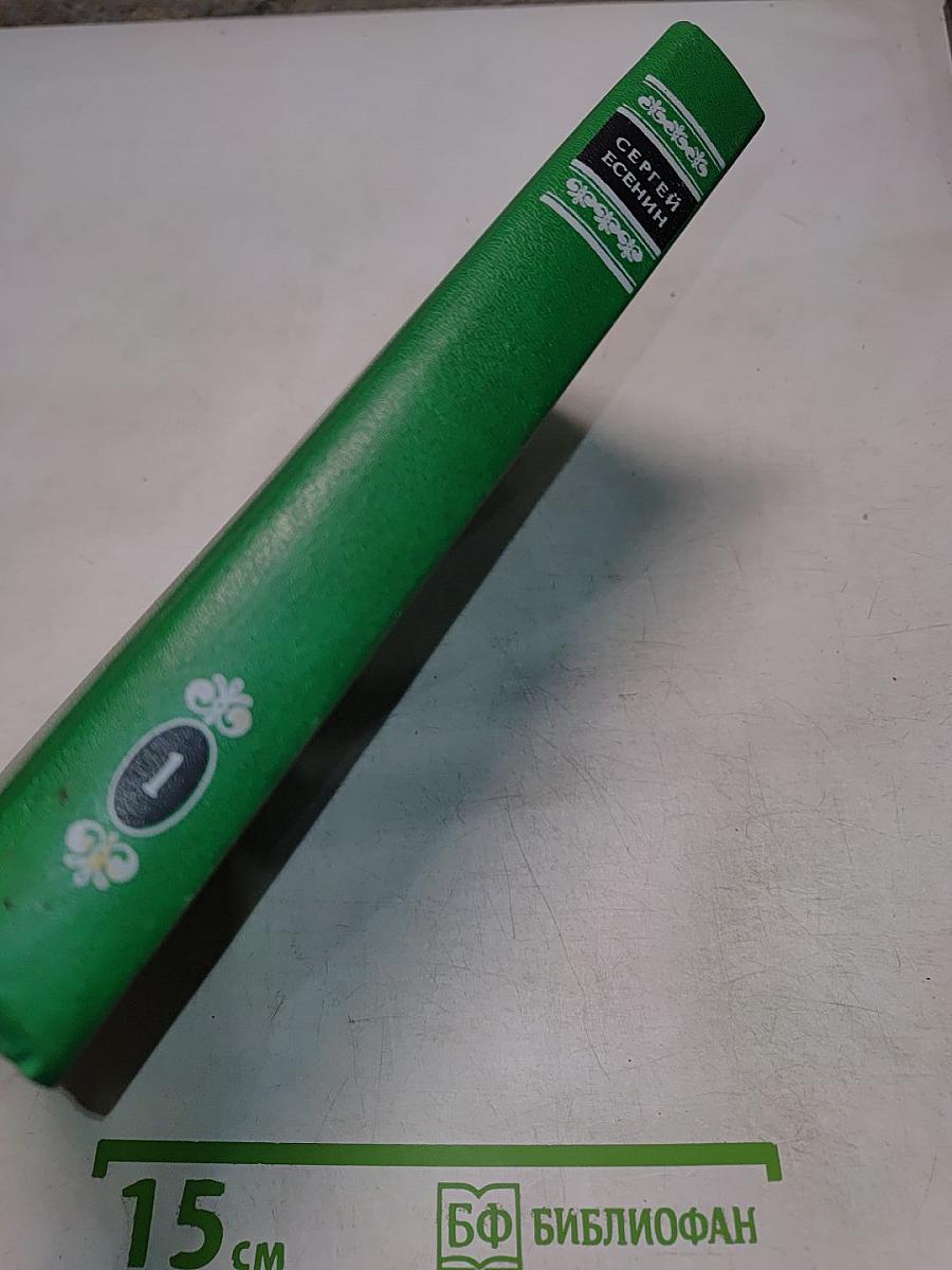 Собрание сочинений в двух томах. Том 1. Стихотворения, поэмы