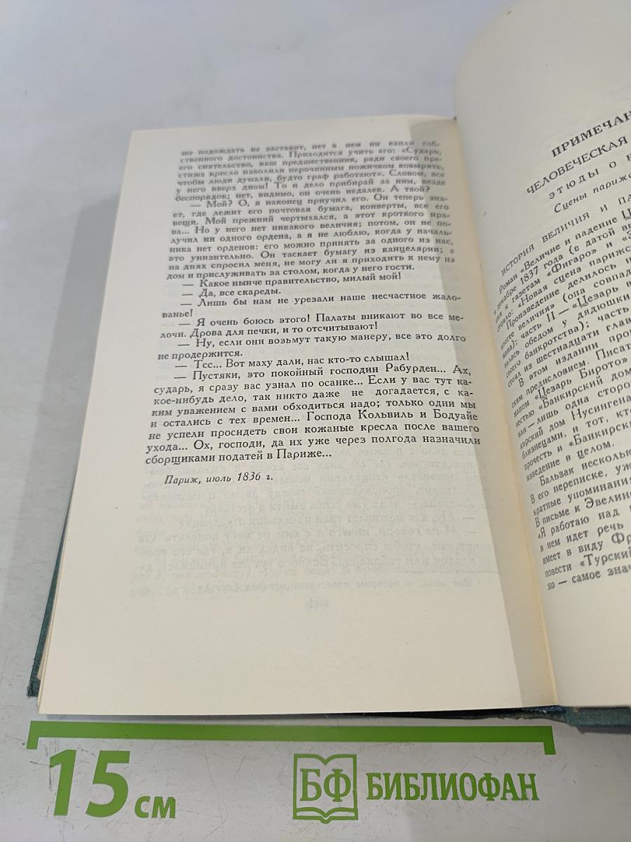 Сцены парижской жизни. Человеческая комедия. Том 12