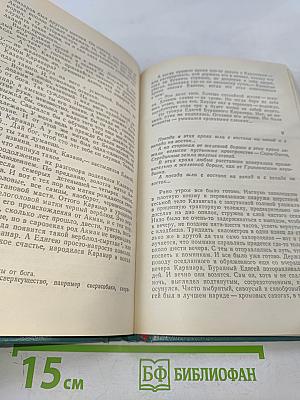 Ранние журавли. Пегий пес, бегущий краем моря. И дольше века длится день