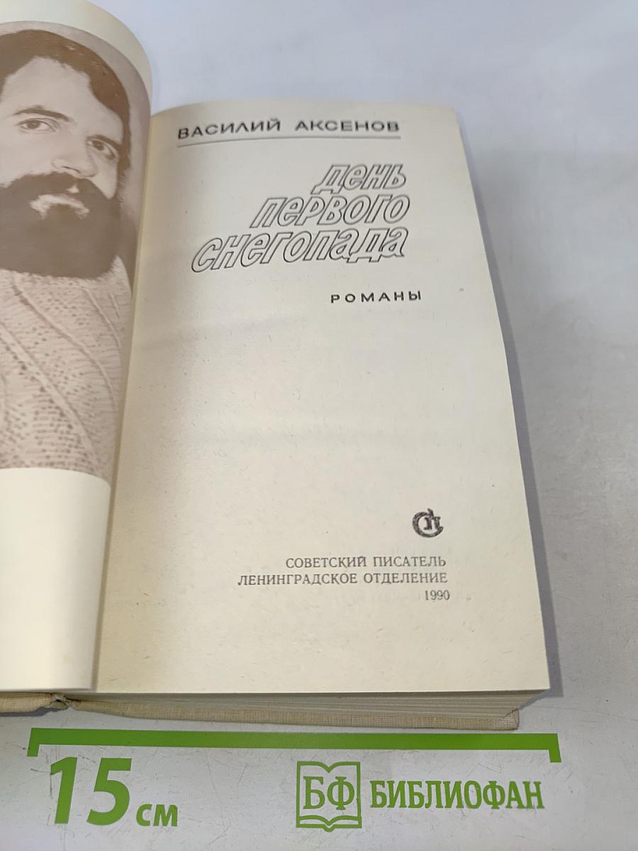 День первого снегопада