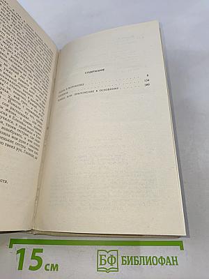 День первого снегопада