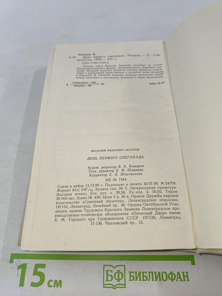 День первого снегопада