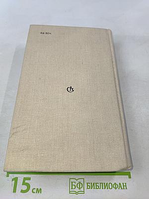 День первого снегопада