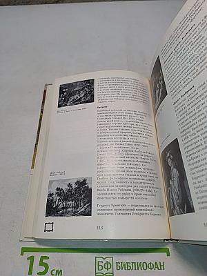 Эрмитаж: путеводитель по выставкам и залам