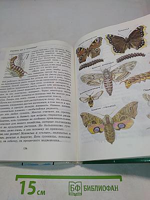 Зеленые страницы