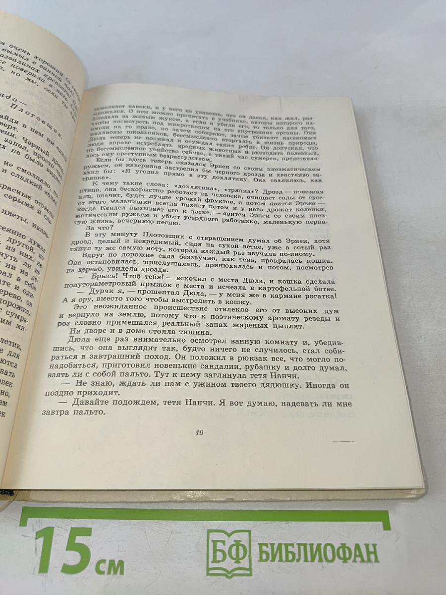 Терновая крепость