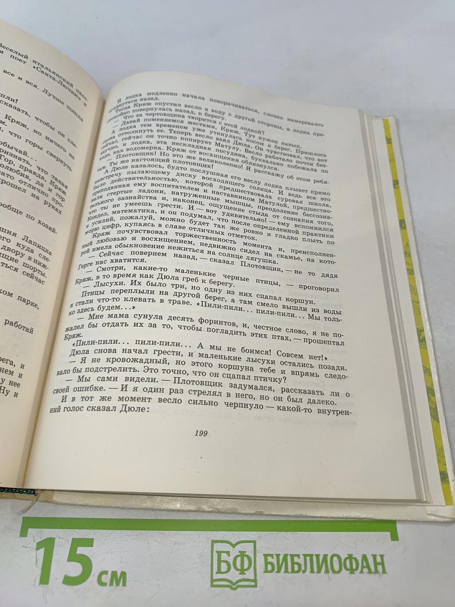 Терновая крепость