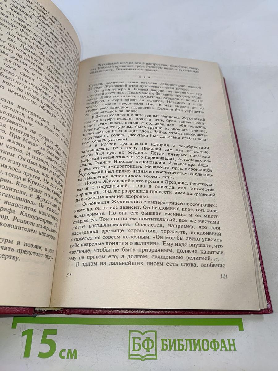 Жуковский. Жизнь Тургенева. Чехов. Литературные биографии