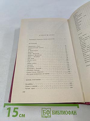Жуковский. Жизнь Тургенева. Чехов. Литературные биографии
