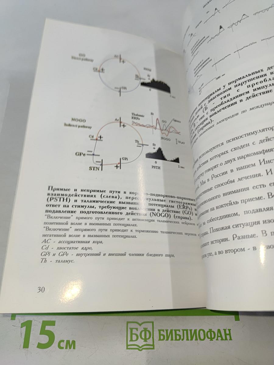 Институт мозга человека