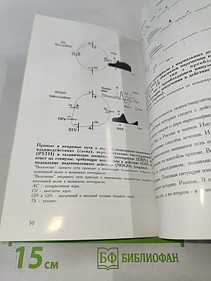 Институт мозга человека