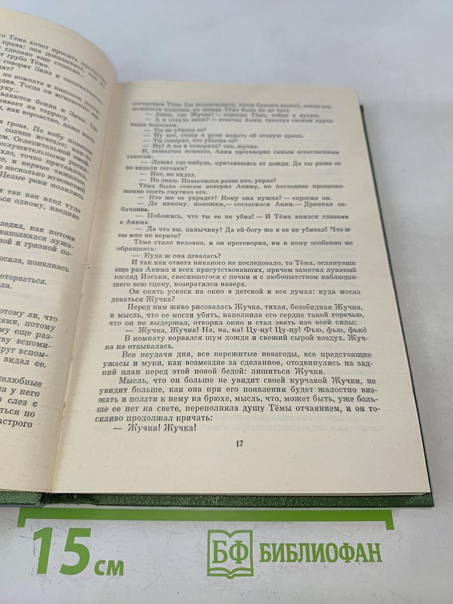 Детство Темы. Гимназисты