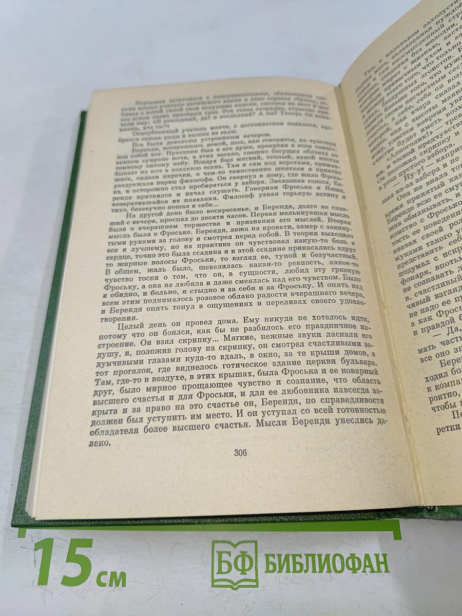 Детство Темы. Гимназисты