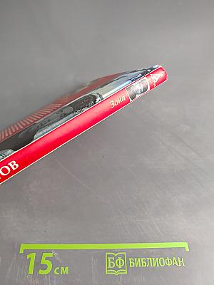 Зона (Записки надзирателя)