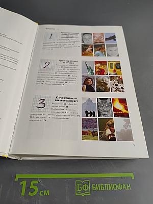 Photoshop для профессионалов. Классическое руководство по цветокоррекции