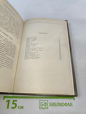 Золотая роза