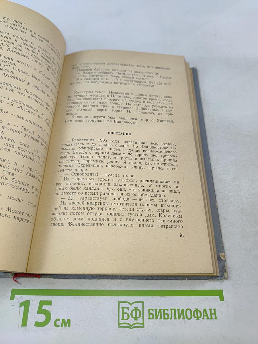 У тихого океана. Книга первая