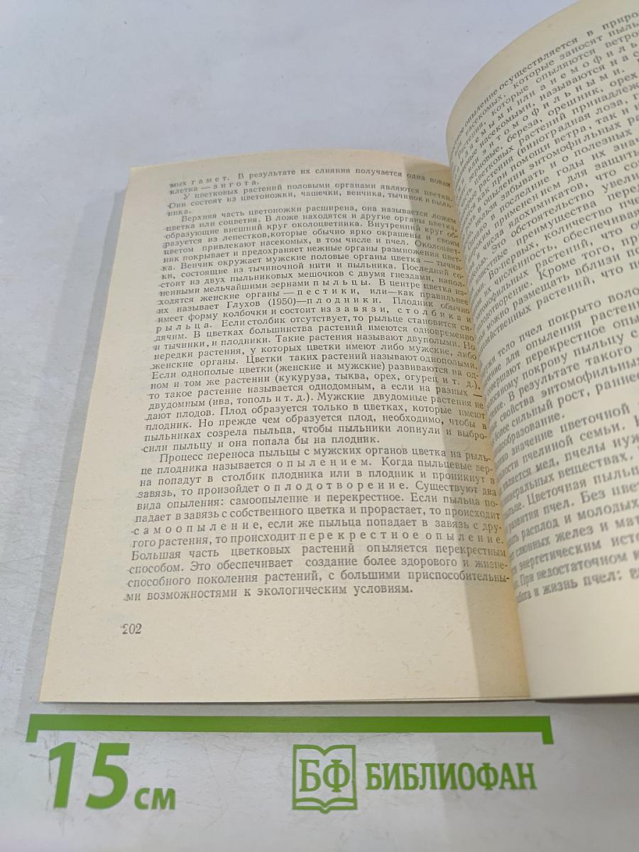 Пчелиные продукты