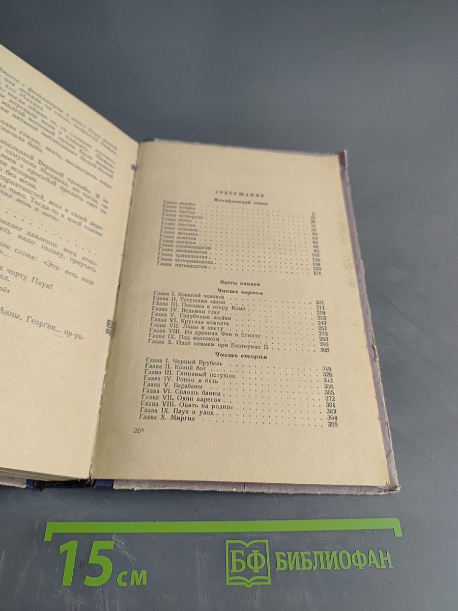 Ольга Дмитриевна Зоря "Михайловский замок. Одеты мантием"