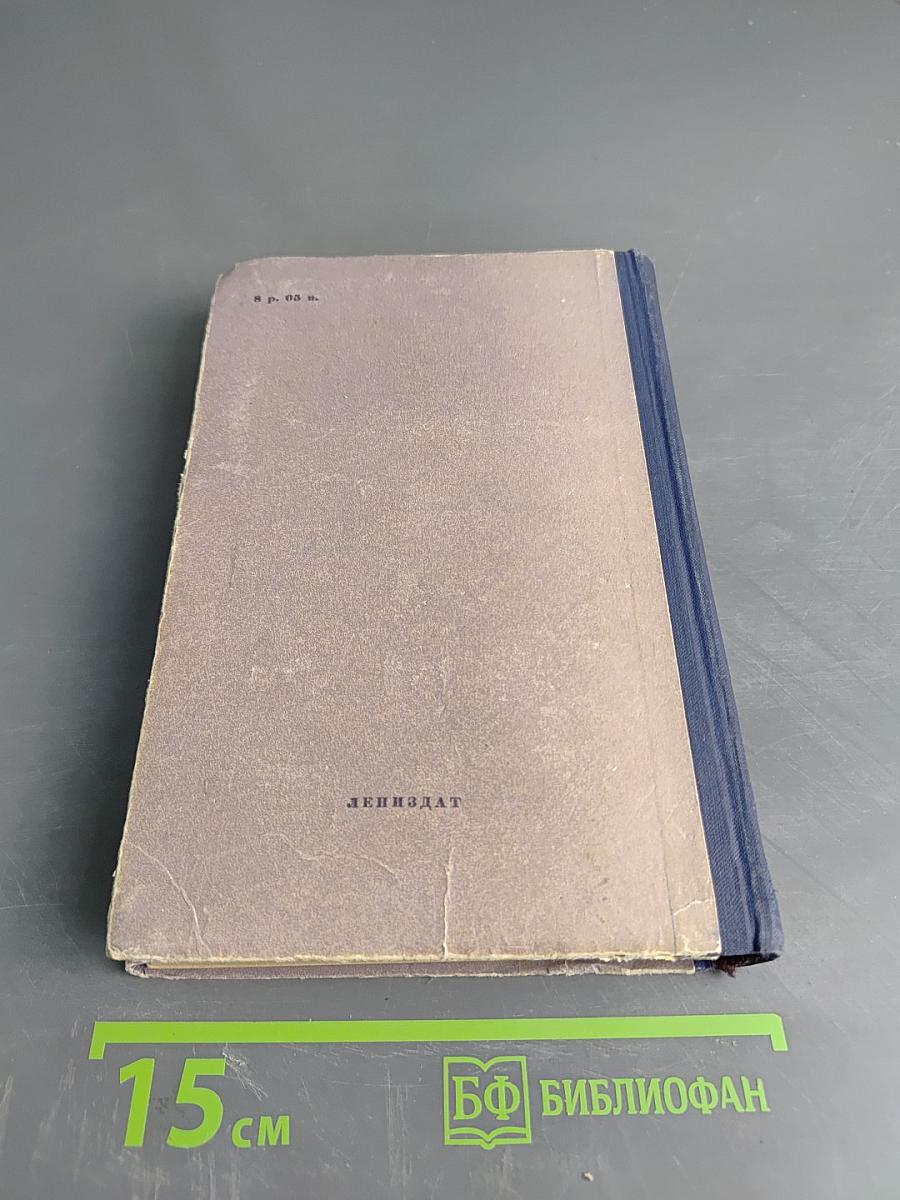 Ольга Дмитриевна Зоря "Михайловский замок. Одеты мантием"