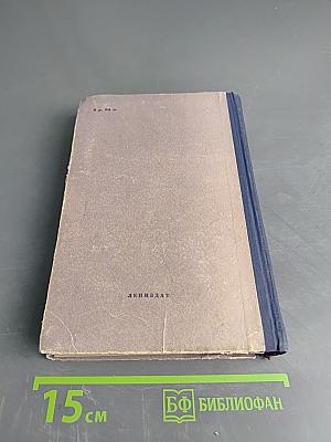 Ольга Дмитриевна Зоря "Михайловский замок. Одеты мантием"