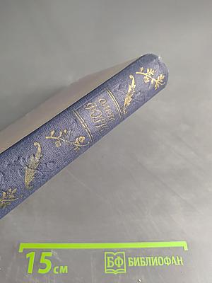 Ольга Дмитриевна Зоря "Михайловский замок. Одеты мантием"