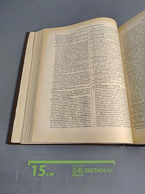 Толковый словарь живого великорусского языка. Том I. А-З