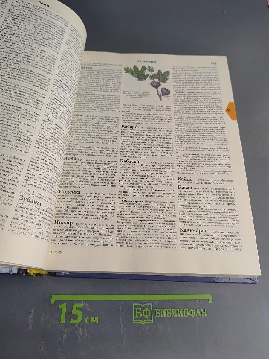 Краткая энциклопедия домашнего хозяйства