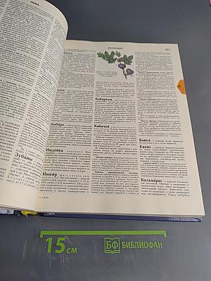 Краткая энциклопедия домашнего хозяйства