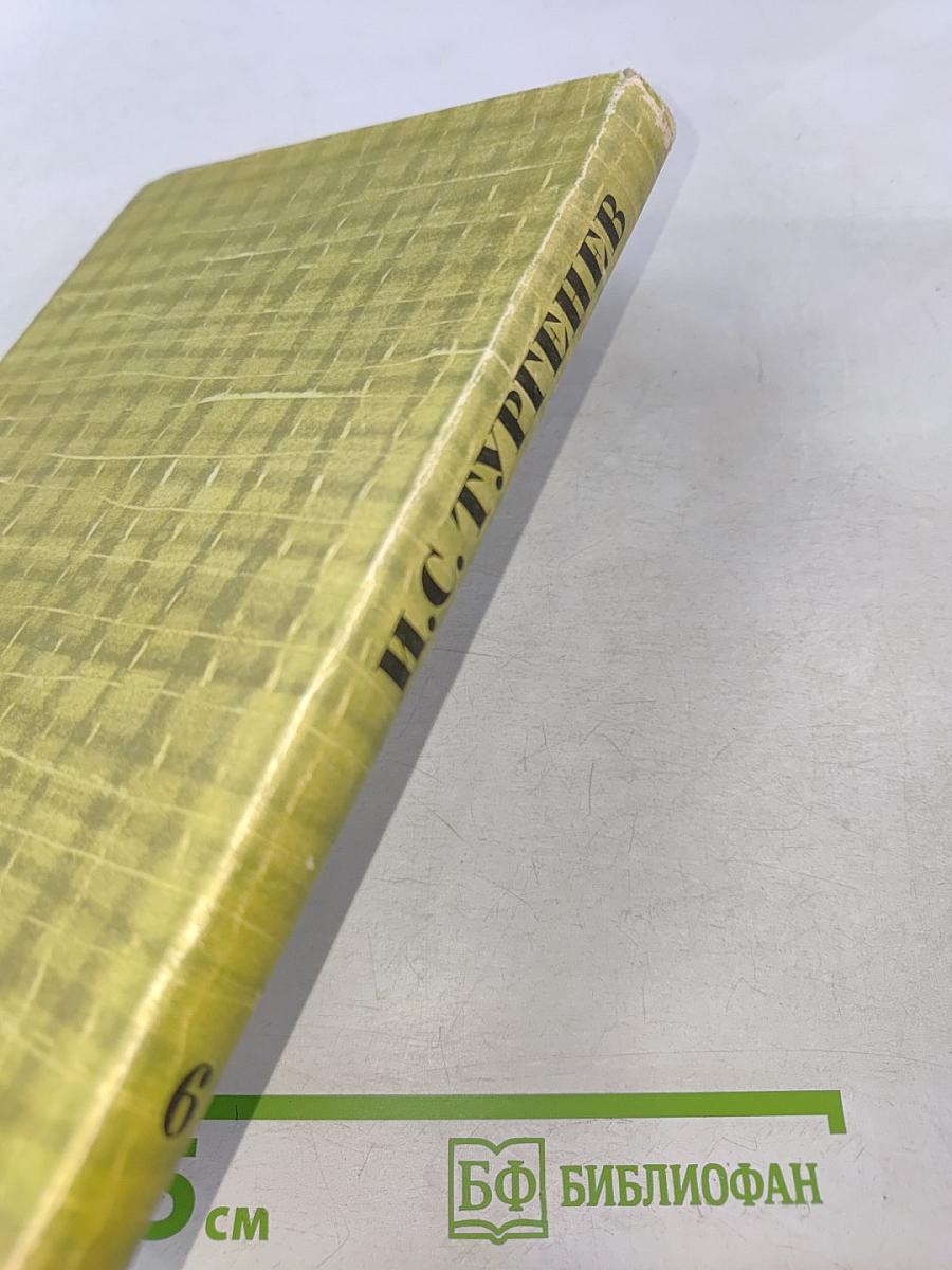 Собрание сочинений. Том шестой. Повести и рассказы 1854-1860