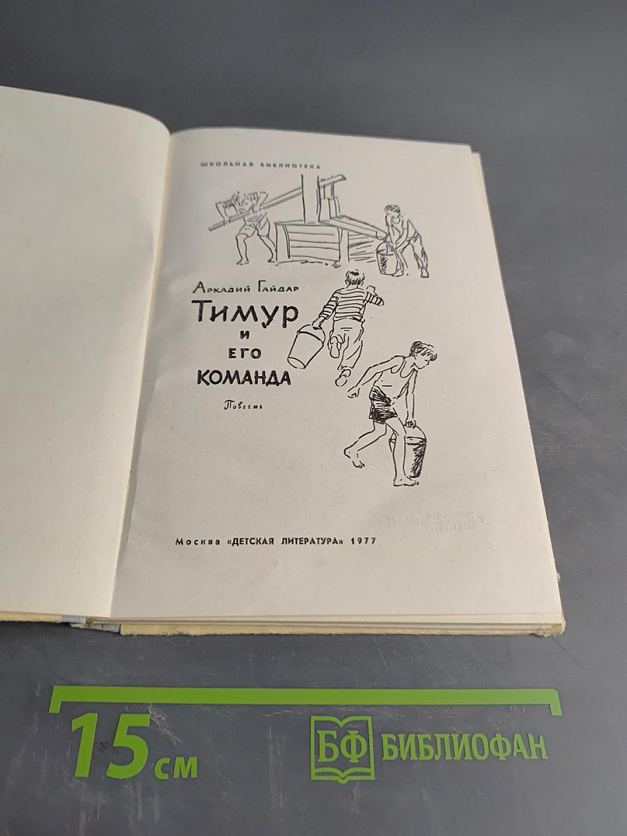 Тимур и его команда