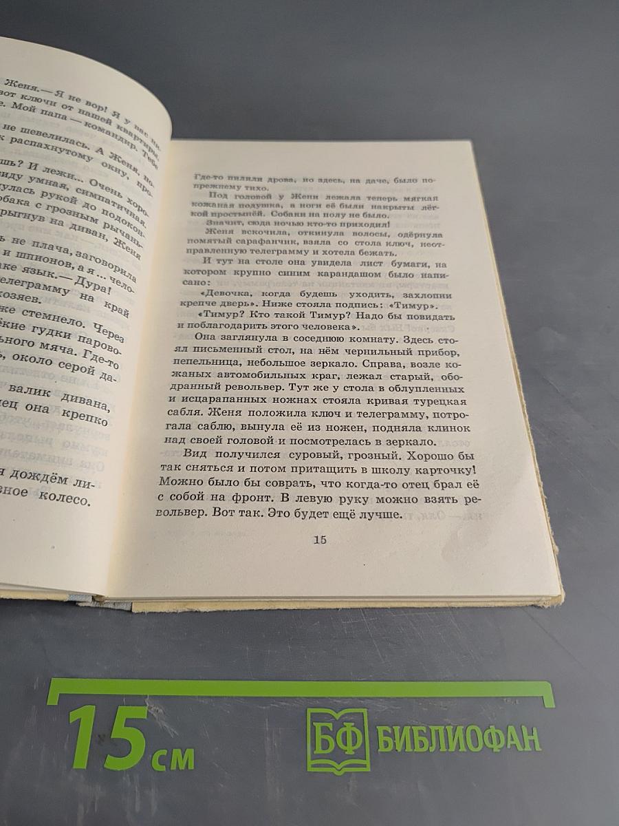 Тимур и его команда