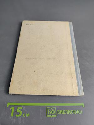 Тимур и его команда