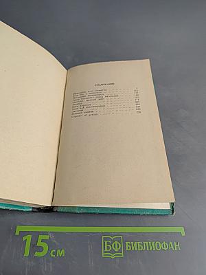 Шавелевое поле