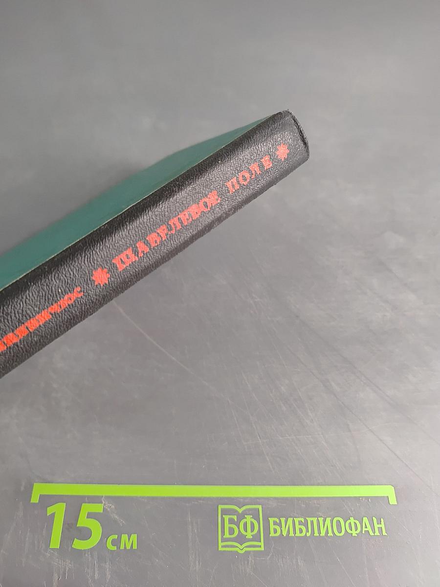 Шавелевое поле