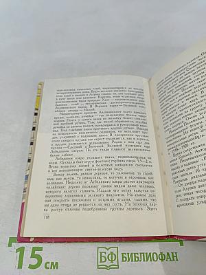 Южный берег Крыма