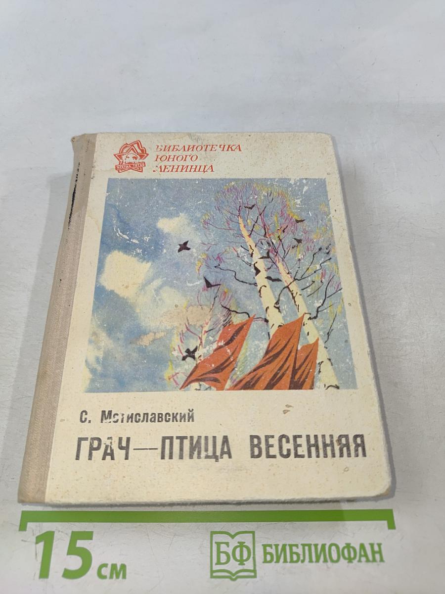 Грач — птица весенняя